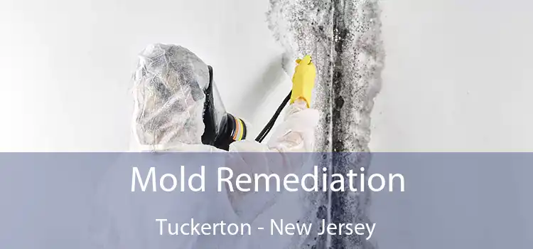 Mold Remediation Tuckerton - New Jersey