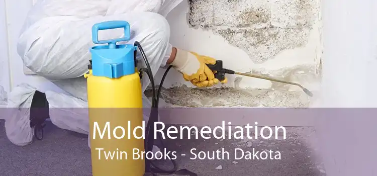 Mold Remediation Twin Brooks - South Dakota