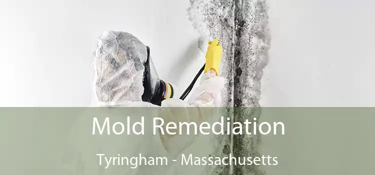Mold Remediation Tyringham - Massachusetts