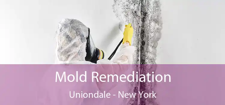 Mold Remediation Uniondale - New York