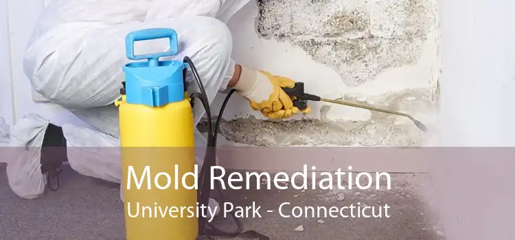 Mold Remediation University Park - Connecticut