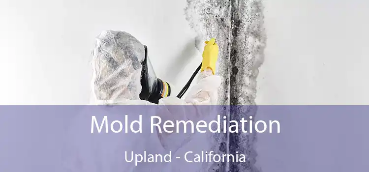 Mold Remediation Upland - California