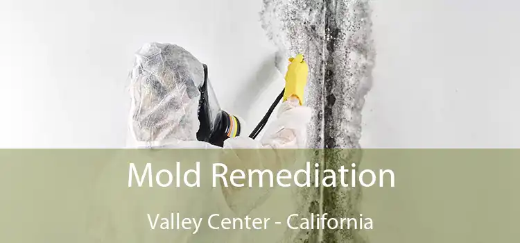 Mold Remediation Valley Center - California