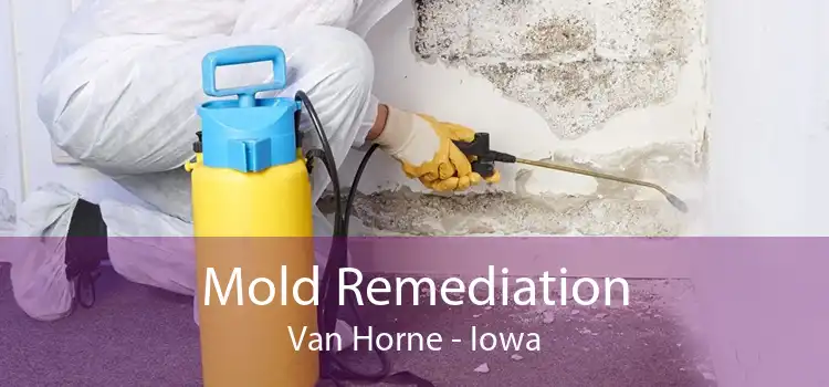 Mold Remediation Van Horne - Iowa