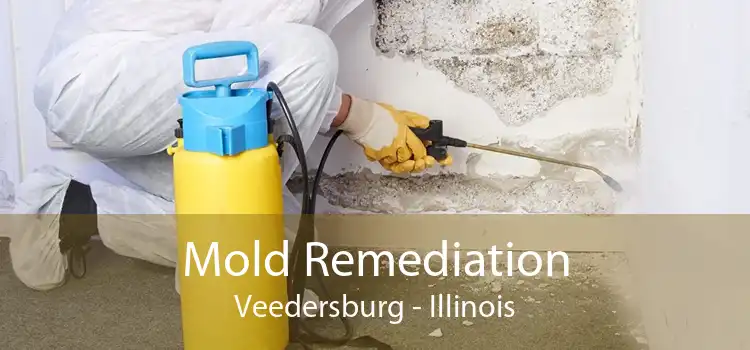 Mold Remediation Veedersburg - Illinois