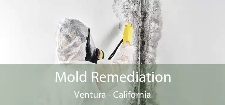 Mold Remediation Ventura - California