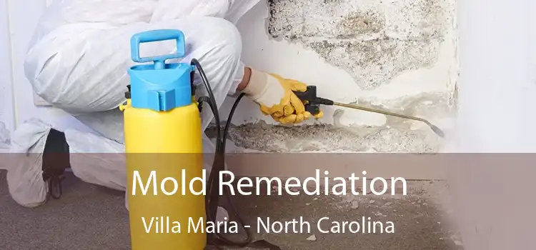 Mold Remediation Villa Maria - North Carolina