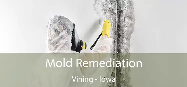 Mold Remediation Vining - Iowa