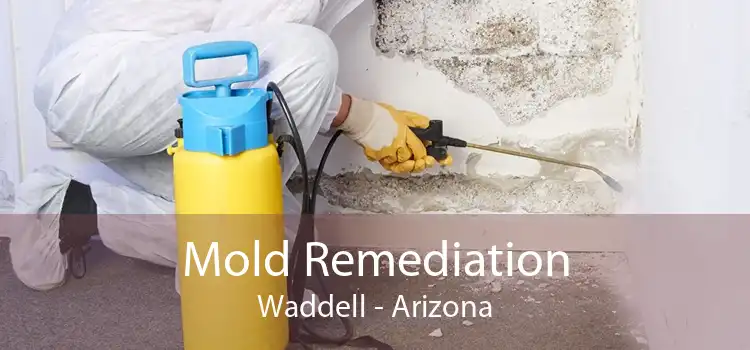 Mold Remediation Waddell - Arizona