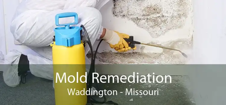 Mold Remediation Waddington - Missouri