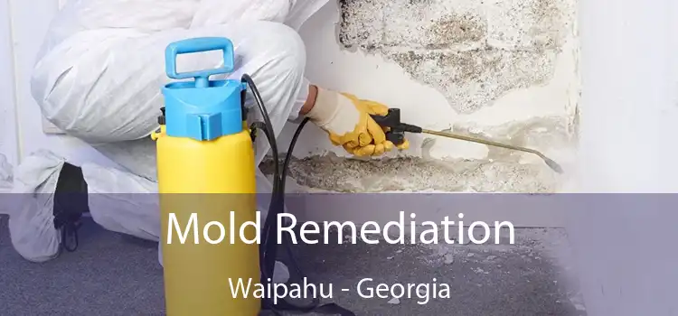 Mold Remediation Waipahu - Georgia