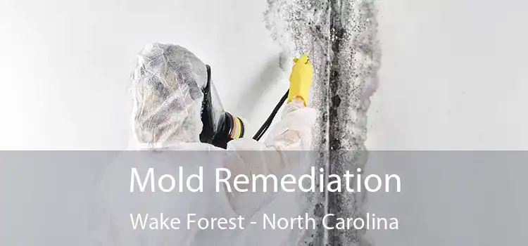 Mold Remediation Wake Forest - North Carolina