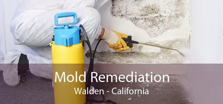 Mold Remediation Walden - California