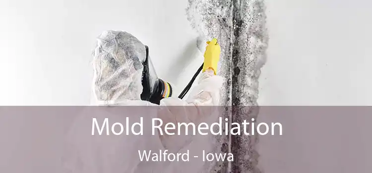 Mold Remediation Walford - Iowa