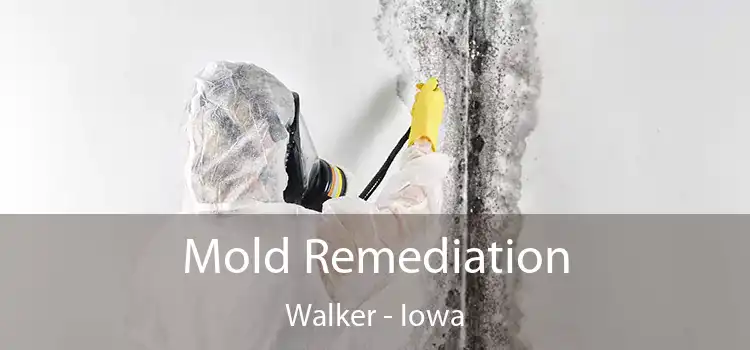 Mold Remediation Walker - Iowa