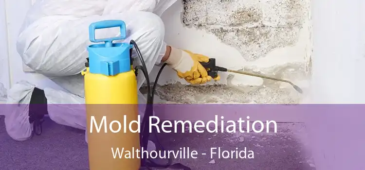 Mold Remediation Walthourville - Florida