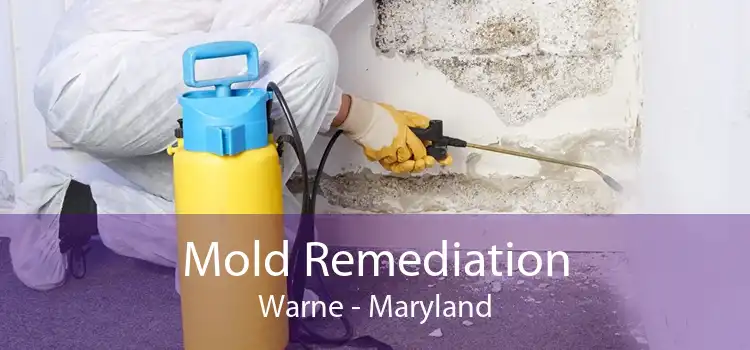 Mold Remediation Warne - Maryland