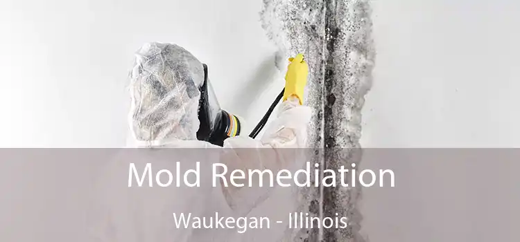 Mold Remediation Waukegan - Illinois