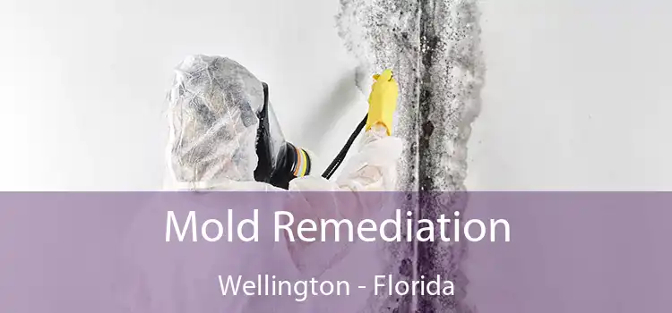 Mold Remediation Wellington - Florida