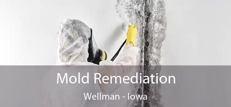 Mold Remediation Wellman - Iowa