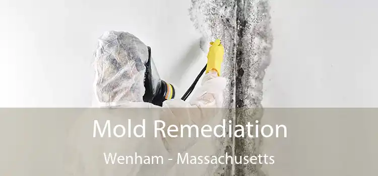 Mold Remediation Wenham - Massachusetts