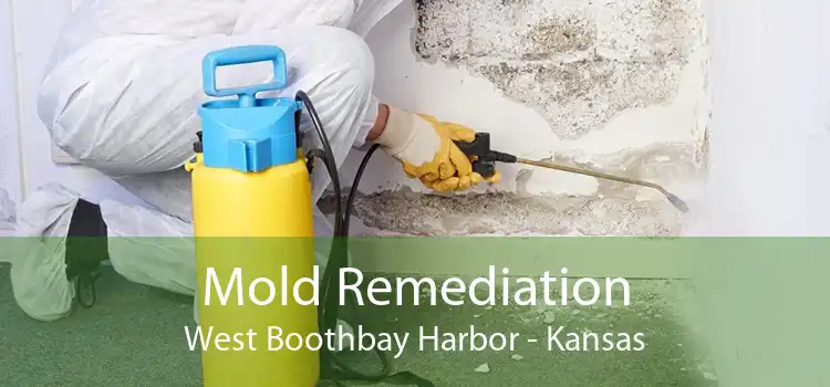 Mold Remediation West Boothbay Harbor - Kansas