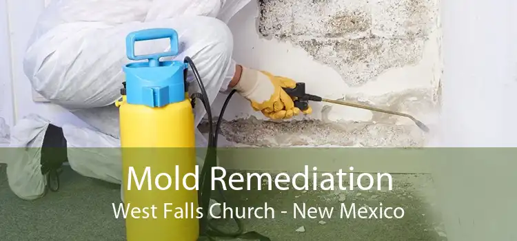 Mold Remediation West Falls Church - New Mexico