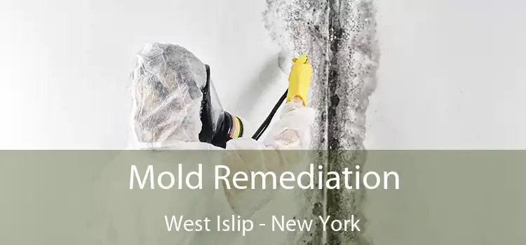 Mold Remediation West Islip - New York