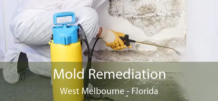 Mold Remediation West Melbourne - Florida