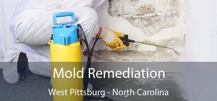 Mold Remediation West Pittsburg - North Carolina