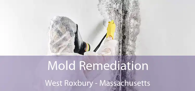 Mold Remediation West Roxbury - Massachusetts