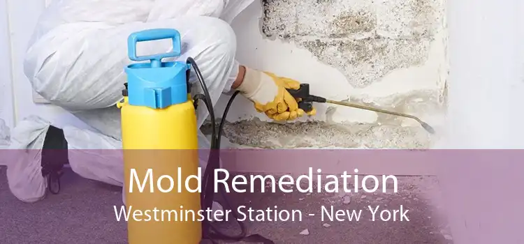 Mold Remediation Westminster Station - New York