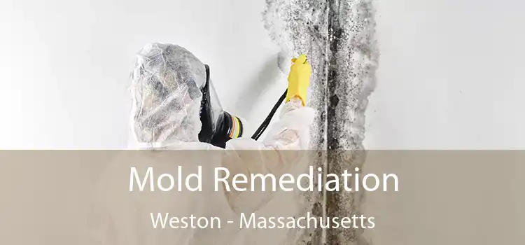 Mold Remediation Weston - Massachusetts