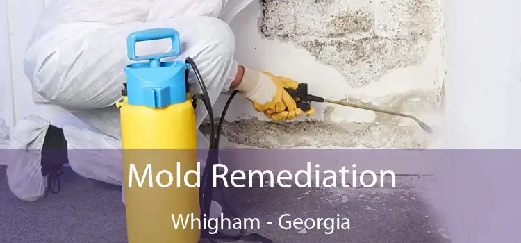 Mold Remediation Whigham - Georgia