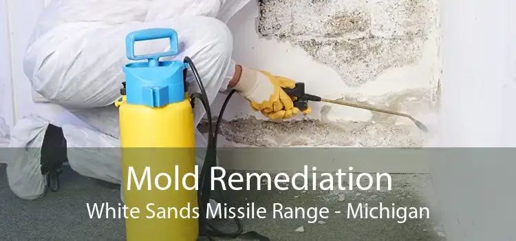 Mold Remediation White Sands Missile Range - Michigan