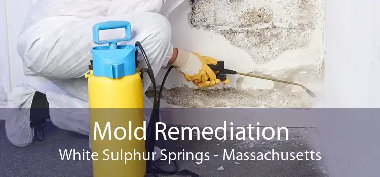 Mold Remediation White Sulphur Springs - Massachusetts