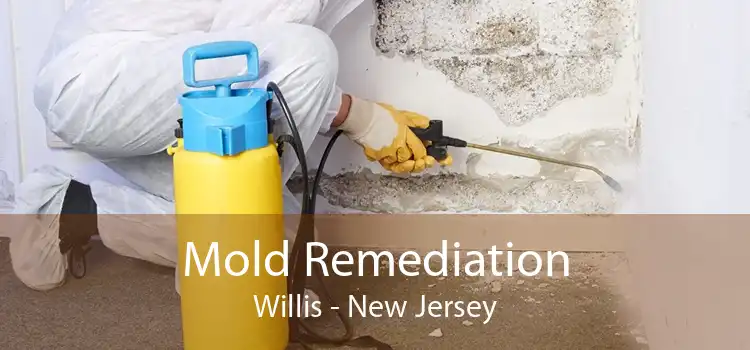 Mold Remediation Willis - New Jersey