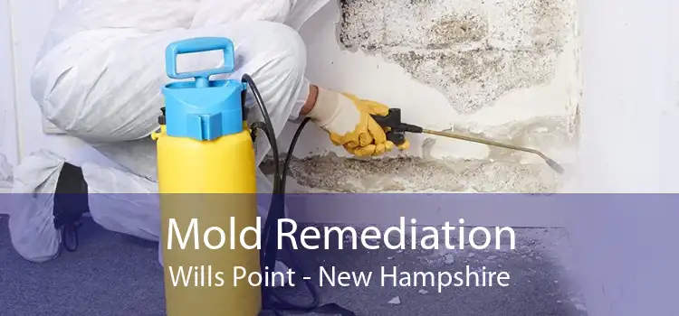 Mold Remediation Wills Point - New Hampshire