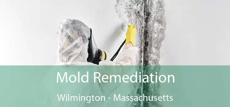 Mold Remediation Wilmington - Massachusetts