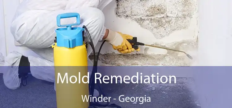 Mold Remediation Winder - Georgia