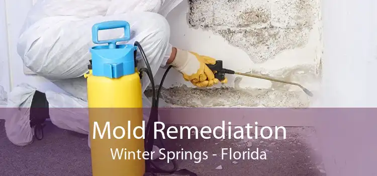 Mold Remediation Winter Springs - Florida