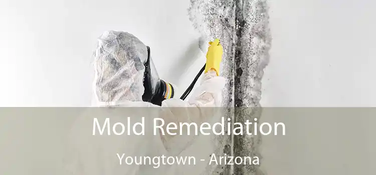 Mold Remediation Youngtown - Arizona