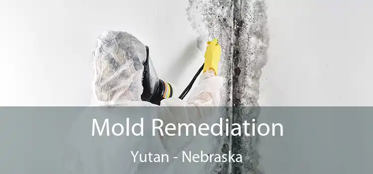 Mold Remediation Yutan - Nebraska