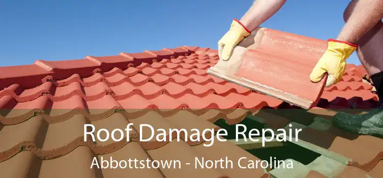 Roof Damage Repair Abbottstown - North Carolina