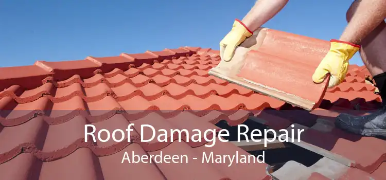 Roof Damage Repair Aberdeen - Maryland