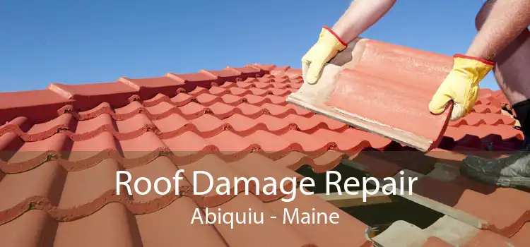 Roof Damage Repair Abiquiu - Maine