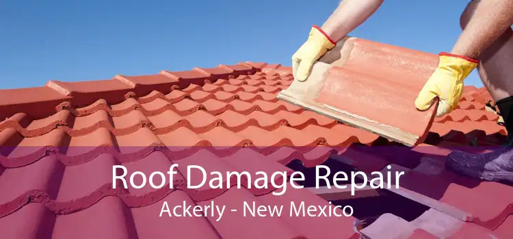 Roof Damage Repair Ackerly - New Mexico