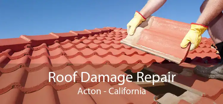 Roof Damage Repair Acton - California