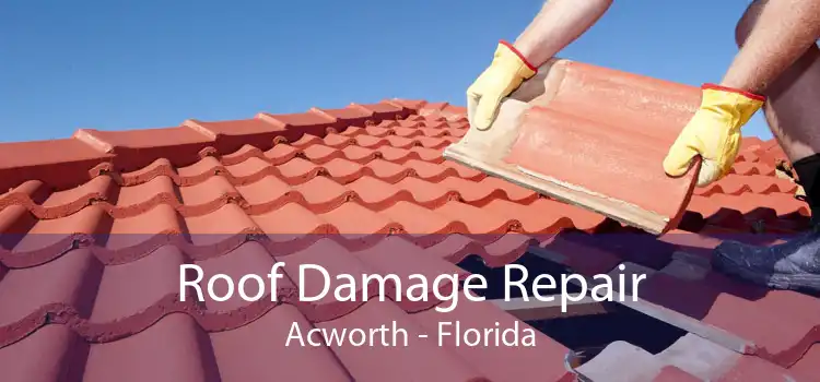 Roof Damage Repair Acworth - Florida