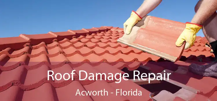 Roof Damage Repair Acworth - Florida